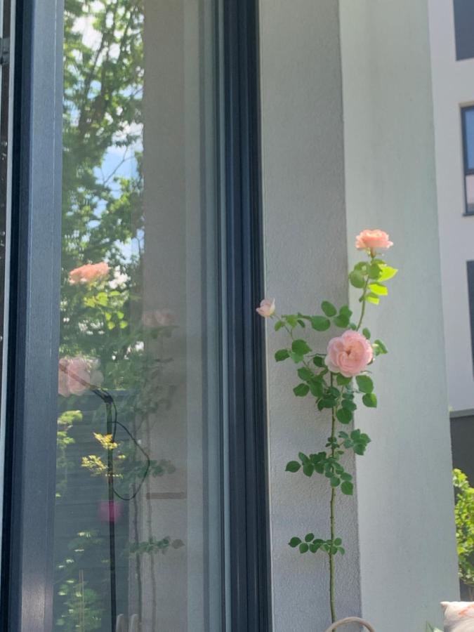 Garden Apartment Self Check-In - Bezkluczowy Dostep W 10 Minut O Kazdej Porze Kraków Eksteriør billede