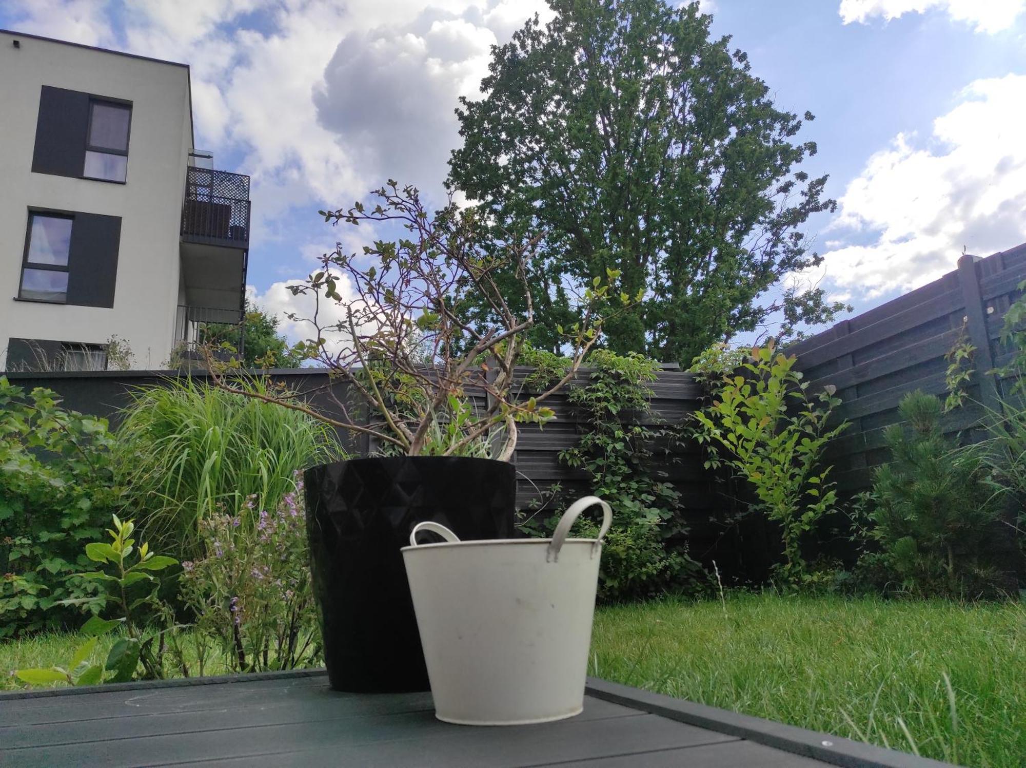 Garden Apartment Self Check-In - Bezkluczowy Dostep W 10 Minut O Kazdej Porze Kraków Eksteriør billede